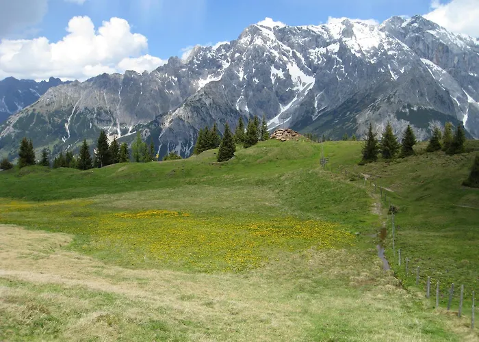 Der Alpenhof Maria Alm