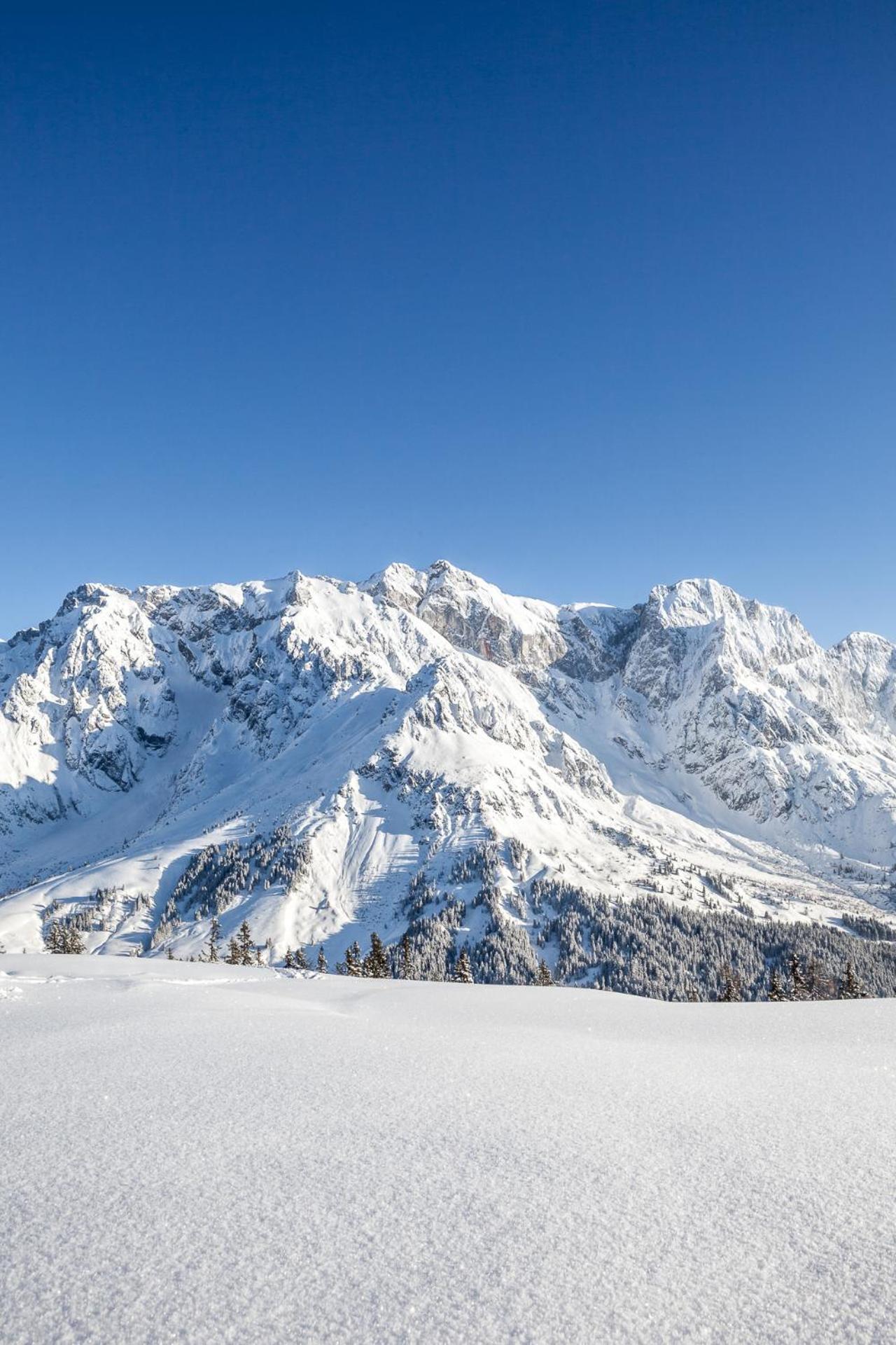 Der Alpenhof 3*