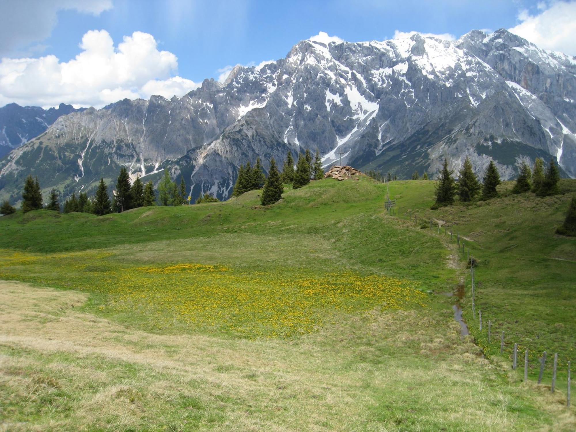 Der Alpenhof